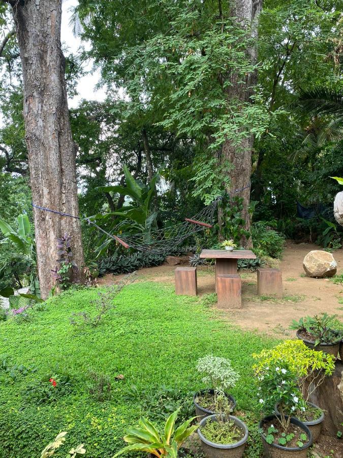 Pearl'S Homestay Matale Zewnętrze zdjęcie