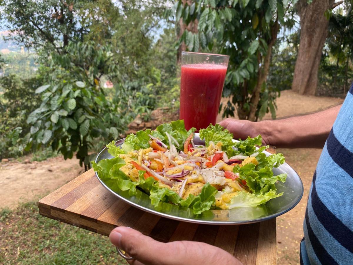 Pearl'S Homestay Matale Zewnętrze zdjęcie