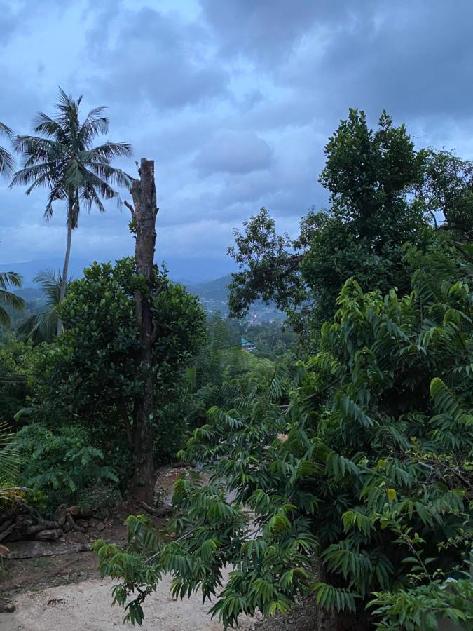 Pearl'S Homestay Matale Zewnętrze zdjęcie